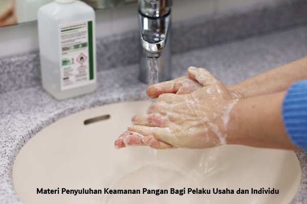 penyuluhan keamanan pangan