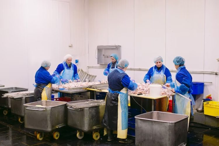 hygiene dan sanitasi makanan pada industri pangan siap saji