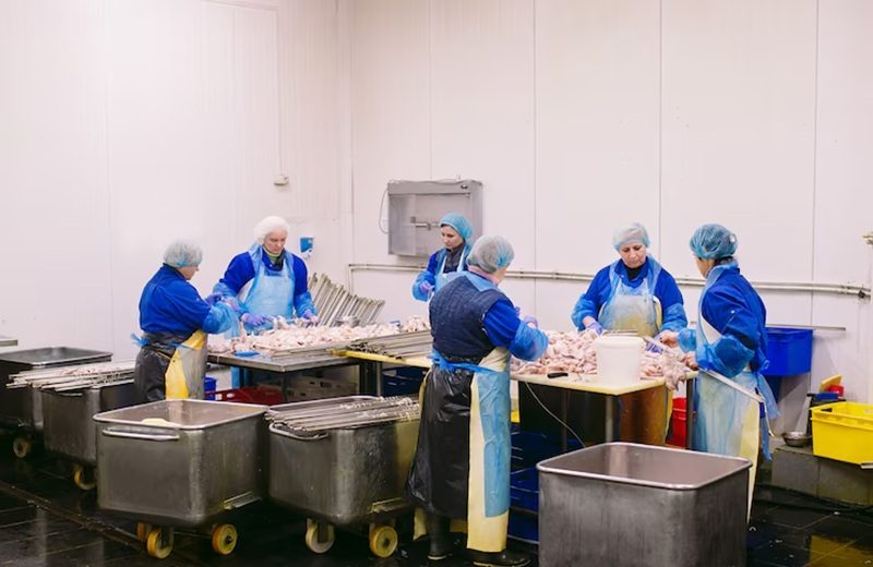 hygiene dan sanitasi makanan pada industri pangan siap saji